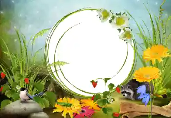 श्रेणी से फ़ोटो प्रभाव विभिन्न № 68455