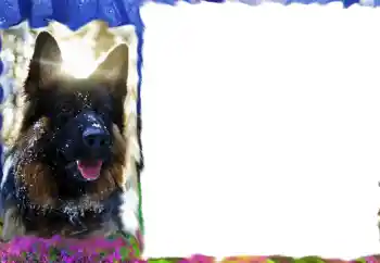 श्रेणी से फ़ोटो प्रभाव विभिन्न № 68617