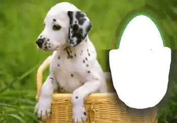 श्रेणी से फ़ोटो प्रभाव विभिन्न № 68648