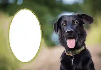 श्रेणी से फ़ोटो प्रभाव विभिन्न № 68649