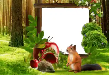 श्रेणी से फ़ोटो प्रभाव विभिन्न № 68650