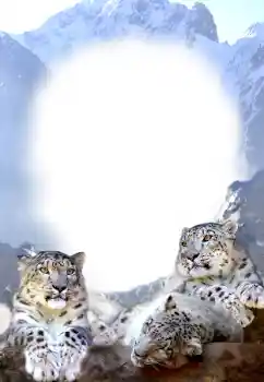 श्रेणी से फ़ोटो प्रभाव विभिन्न № 68679