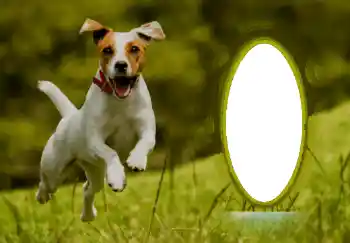 श्रेणी से फ़ोटो प्रभाव विभिन्न № 68744 श्रेणी से फ़ोटो प्रभाव विभिन्न № 68744