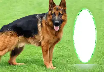 श्रेणी से फ़ोटो प्रभाव विभिन्न № 68745 श्रेणी से फ़ोटो प्रभाव विभिन्न № 68745