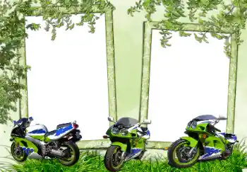 श्रेणी से फ़ोटो प्रभाव विभिन्न № 70952