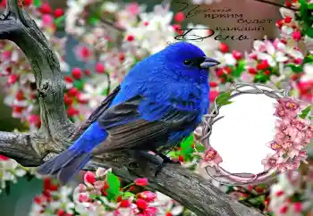 फ़ोटो फ़्रेम पर लेख: Пусть ярким будет каждый День...