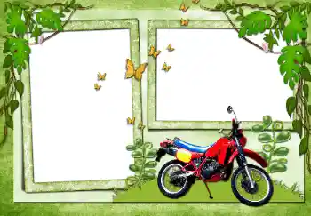 श्रेणी से फ़ोटो प्रभाव विभिन्न № 72138