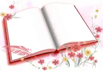 श्रेणी से फ़ोटो प्रभाव विभिन्न № 72457