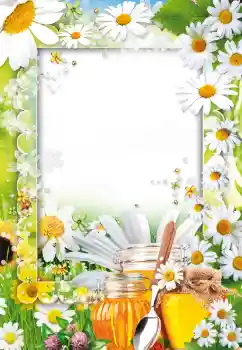 श्रेणी से फ़ोटो प्रभाव विभिन्न № 73499