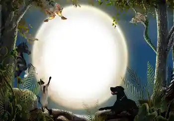 श्रेणी से फ़ोटो प्रभाव विभिन्न № 7470