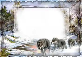 श्रेणी से फ़ोटो प्रभाव विभिन्न № 7512