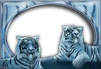 श्रेणी से फ़ोटो प्रभाव विभिन्न № 7517