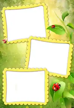 श्रेणी से फ़ोटो प्रभाव विभिन्न № 79010