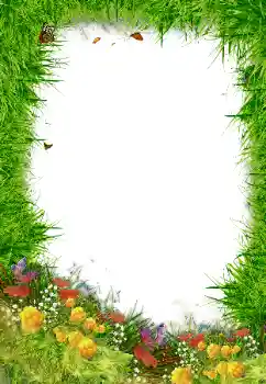 श्रेणी से फ़ोटो प्रभाव विभिन्न № 80192