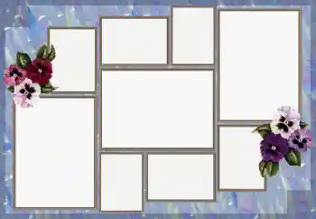 श्रेणी से फ़ोटो प्रभाव विभिन्न № 80255