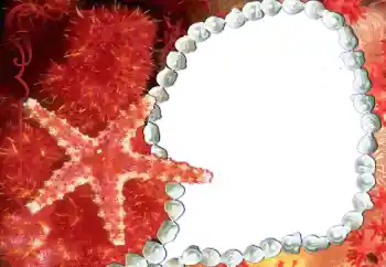 श्रेणी से फ़ोटो प्रभाव विभिन्न № 80293