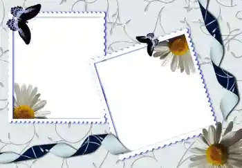 श्रेणी से फ़ोटो प्रभाव विभिन्न № 80319