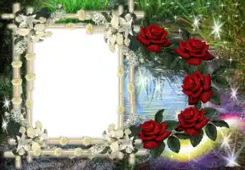 श्रेणी से फ़ोटो प्रभाव विभिन्न № 80386