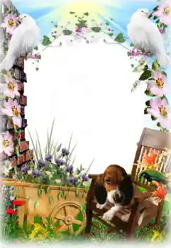 श्रेणी से फ़ोटो प्रभाव विभिन्न № 81633