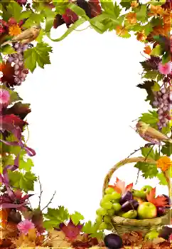 श्रेणी से फ़ोटो प्रभाव विभिन्न № 81650