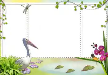 श्रेणी से फ़ोटो प्रभाव विभिन्न № 84103