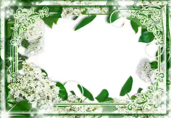 श्रेणी से फ़ोटो प्रभाव विभिन्न № 85233