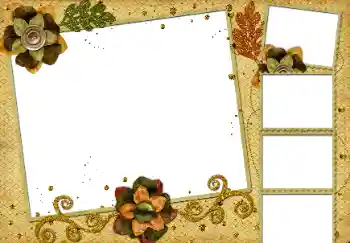 श्रेणी से फ़ोटो प्रभाव विभिन्न № 8529