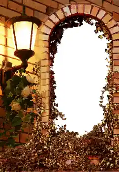 श्रेणी से फ़ोटो प्रभाव विभिन्न № 8595