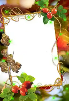 श्रेणी से फ़ोटो प्रभाव विभिन्न № 8676