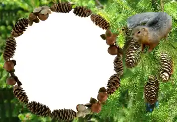 श्रेणी से फ़ोटो प्रभाव विभिन्न № 8682