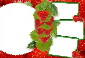 श्रेणी से फ़ोटो प्रभाव विभिन्न № 8738