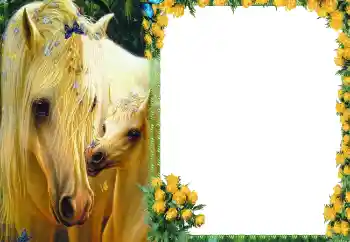 श्रेणी से फ़ोटो प्रभाव विभिन्न № 87686