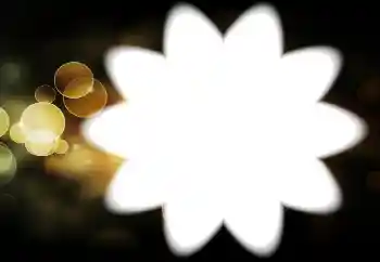 श्रेणी से फ़ोटो प्रभाव विभिन्न № 88034