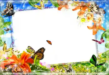 श्रेणी से फ़ोटो प्रभाव विभिन्न № 89452