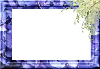 श्रेणी से फ़ोटो प्रभाव विभिन्न № 89460