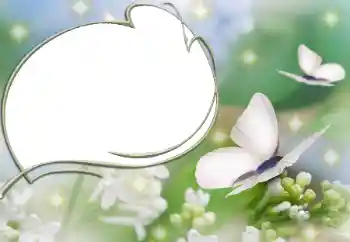 श्रेणी से फ़ोटो प्रभाव विभिन्न № 90527