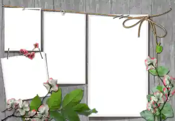 श्रेणी से फ़ोटो प्रभाव विभिन्न № 91740