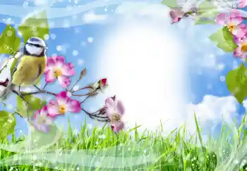 श्रेणी से फ़ोटो प्रभाव विभिन्न № 91774 श्रेणी से फ़ोटो प्रभाव विभिन्न № 91774