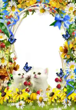 श्रेणी से फ़ोटो प्रभाव विभिन्न № 93351 श्रेणी से फ़ोटो प्रभाव विभिन्न № 93351