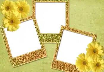 श्रेणी से फ़ोटो प्रभाव विभिन्न № 93371 श्रेणी से फ़ोटो प्रभाव विभिन्न № 93371