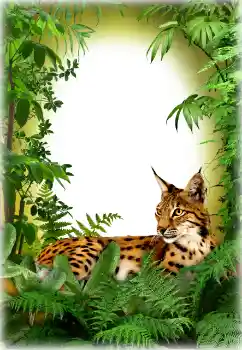 श्रेणी से फ़ोटो प्रभाव विभिन्न № 94618 श्रेणी से फ़ोटो प्रभाव विभिन्न № 94618