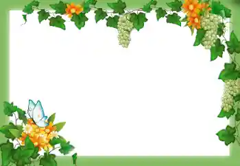 श्रेणी से फ़ोटो प्रभाव विभिन्न № 9658