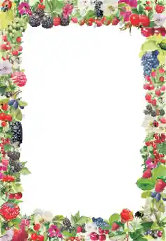 श्रेणी से फ़ोटो प्रभाव विभिन्न № 9790