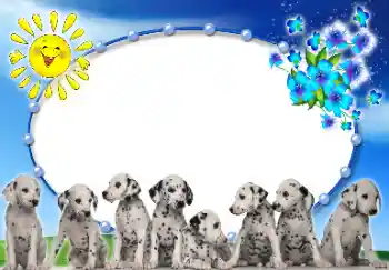 श्रेणी से फ़ोटो प्रभाव विभिन्न № 9907