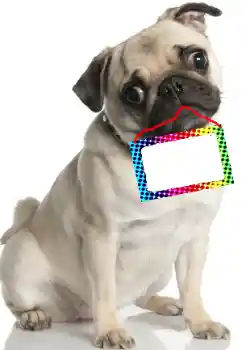 श्रेणी से फ़ोटो प्रभाव विभिन्न № 99781 श्रेणी से फ़ोटो प्रभाव विभिन्न № 99781