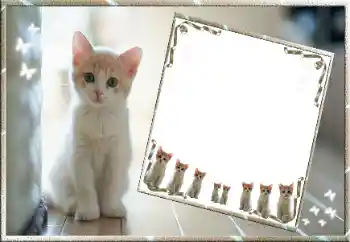 श्रेणी से फ़ोटो प्रभाव विभिन्न № 99811 श्रेणी से फ़ोटो प्रभाव विभिन्न № 99811