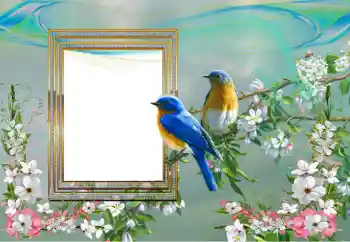 श्रेणी से फ़ोटो प्रभाव विभिन्न № 99895 श्रेणी से फ़ोटो प्रभाव विभिन्न № 99895