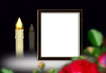 श्रेणी से फ़ोटो प्रभाव शाक रिबन № 149088 श्रेणी से फ़ोटो प्रभाव शाक रिबन № 149088