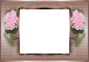 श्रेणी से फ़ोटो प्रभाव शाक रिबन № 196607