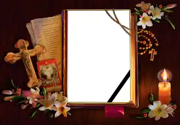 श्रेणी से फ़ोटो प्रभाव शाक रिबन № 5421 श्रेणी से फ़ोटो प्रभाव शाक रिबन № 5421